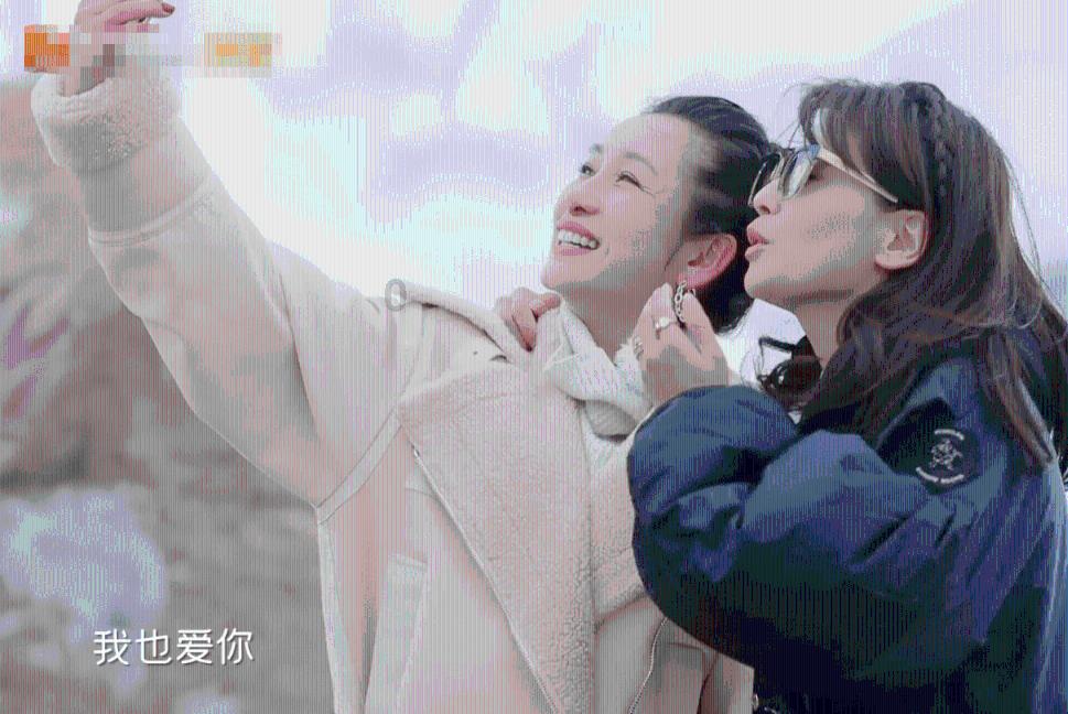 虫虫助手下载